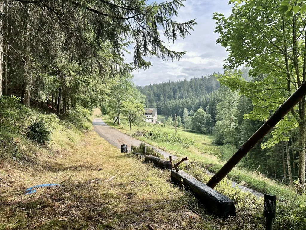 Bei der Rehkrippe im Hübschental