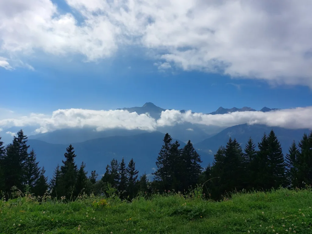 Camp Alla Meta