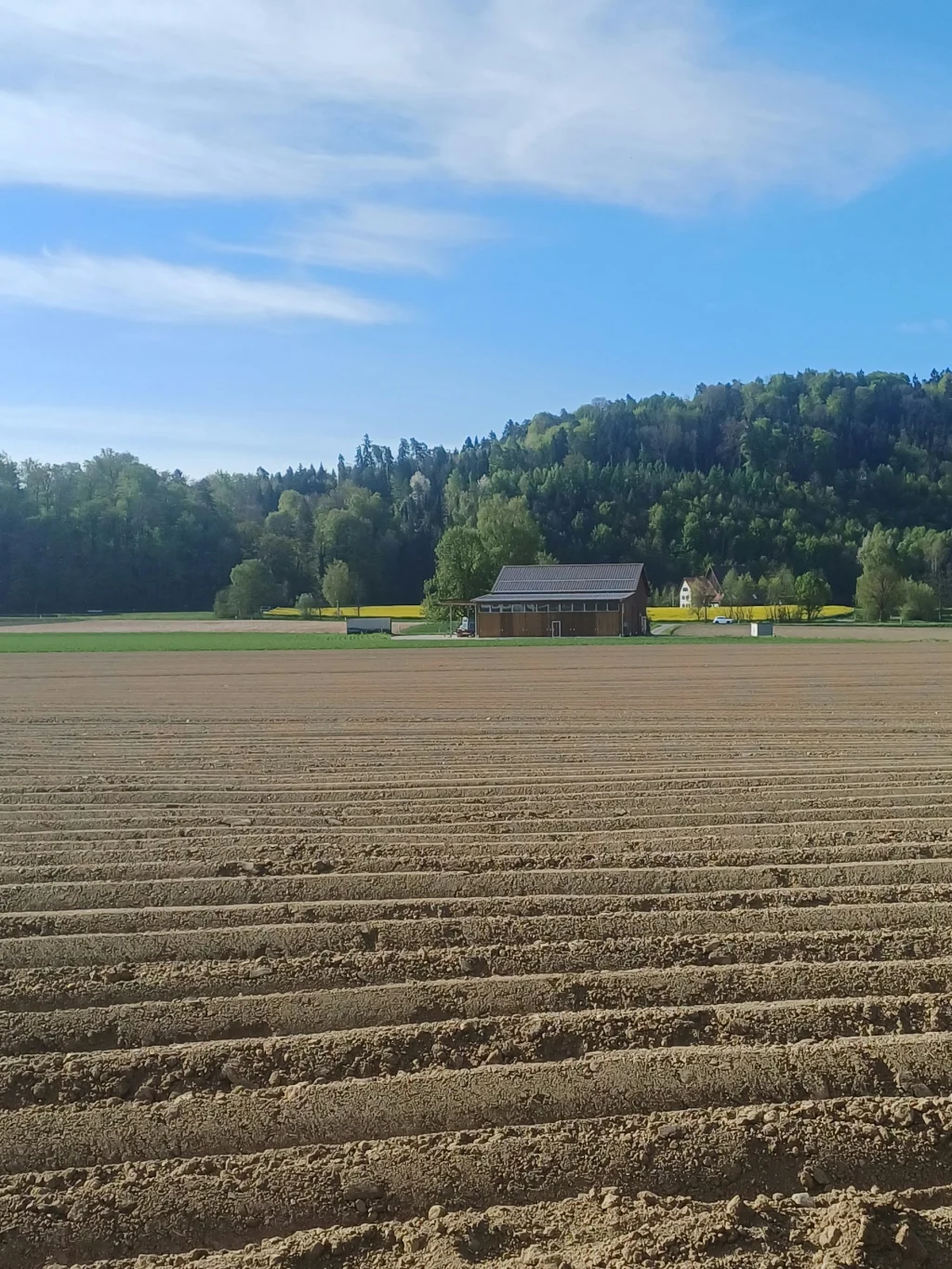 Bauernhof  Stellplatz mit Frühstück