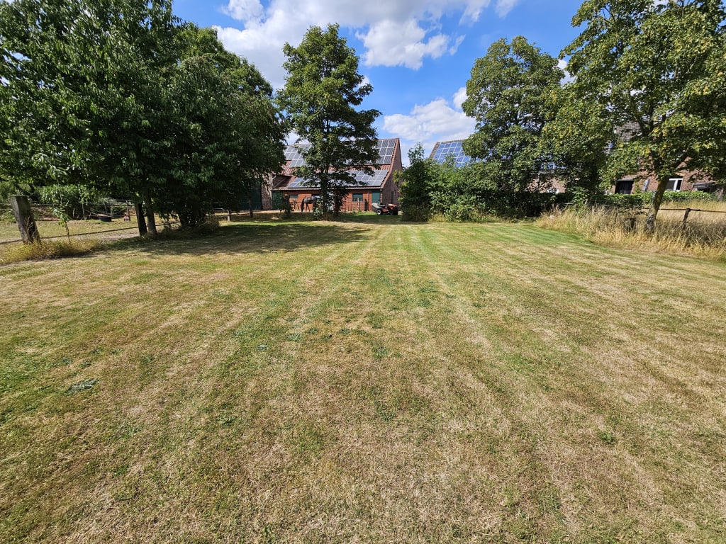Stellplatz auf Bauernhof, direkt an Pferdewiese