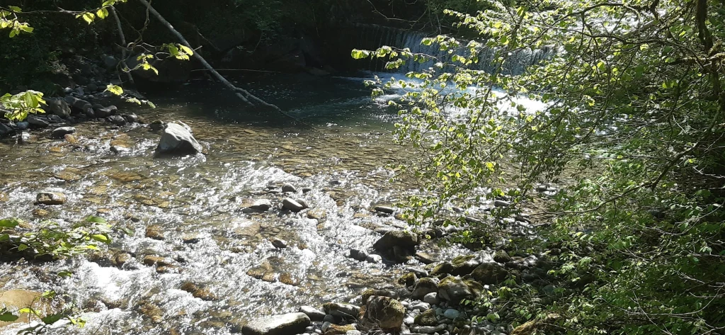 Stellplatz bei Hilferenbach