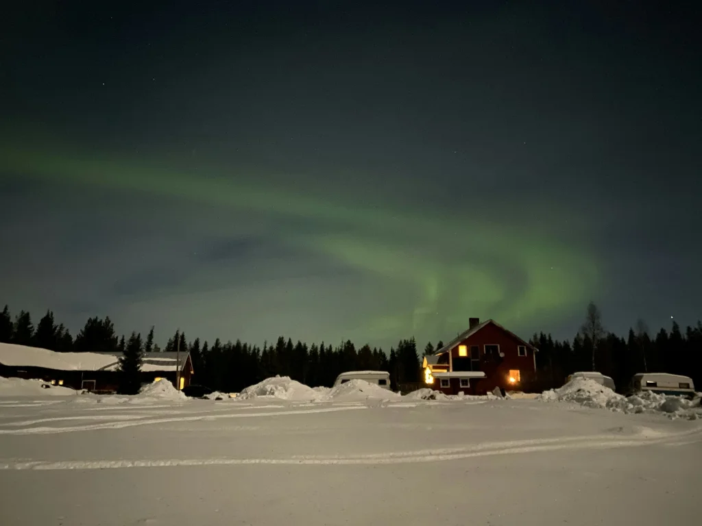 Echtes Lappland - im Wald & am See