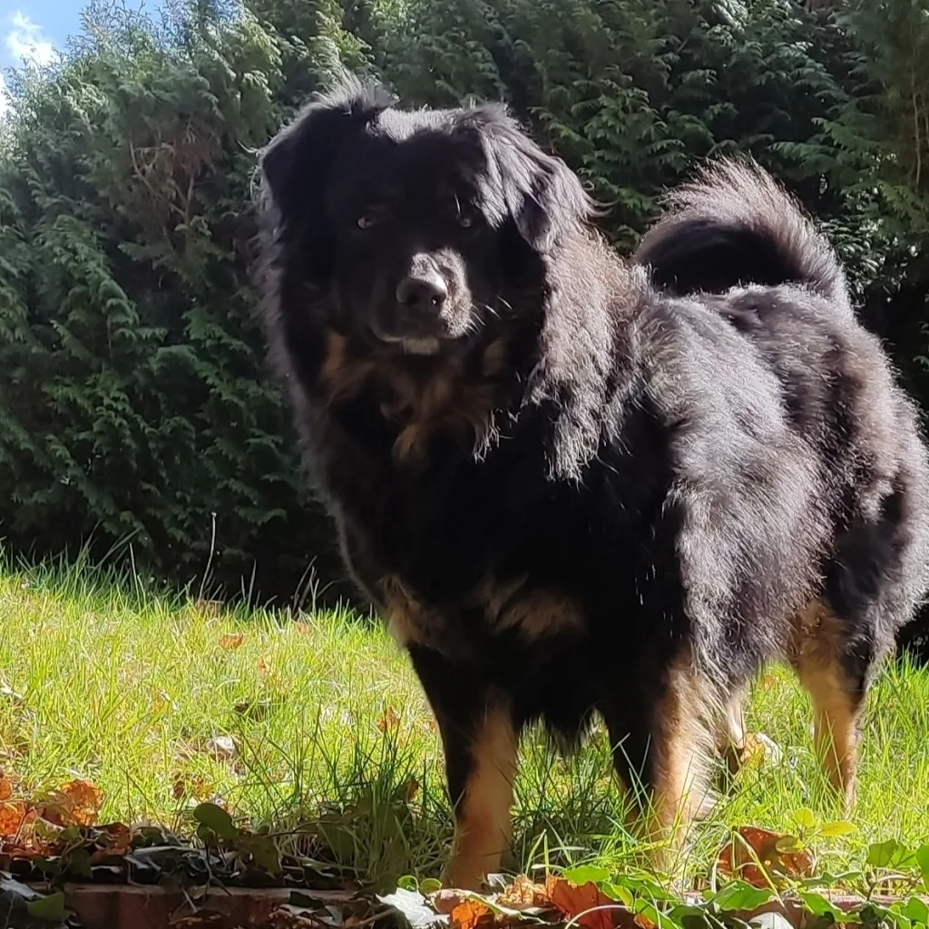 Profilbild von Roland