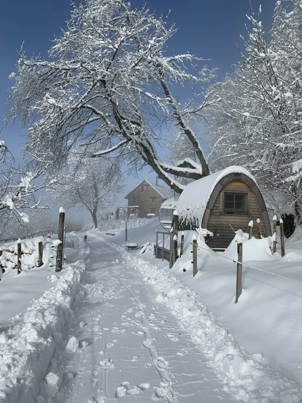 Camping Pod mitten im Naturgarten