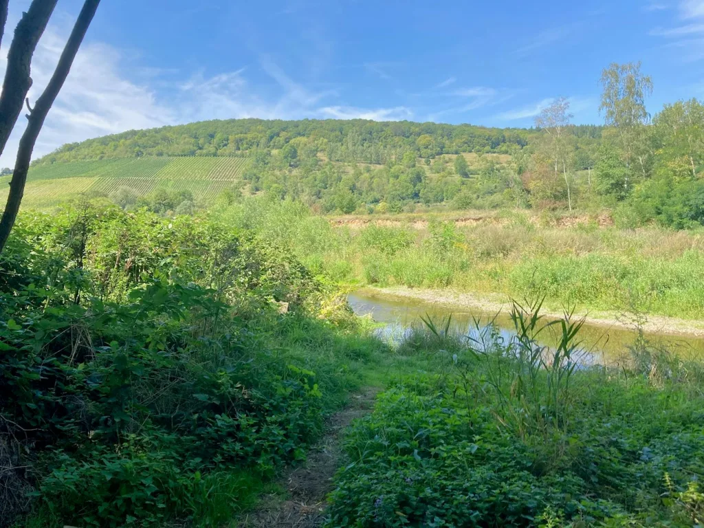 Obstwiese mit Ahrblick