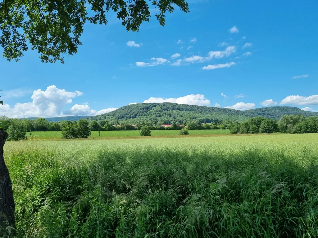 Weide mit Ausblick zum Ith