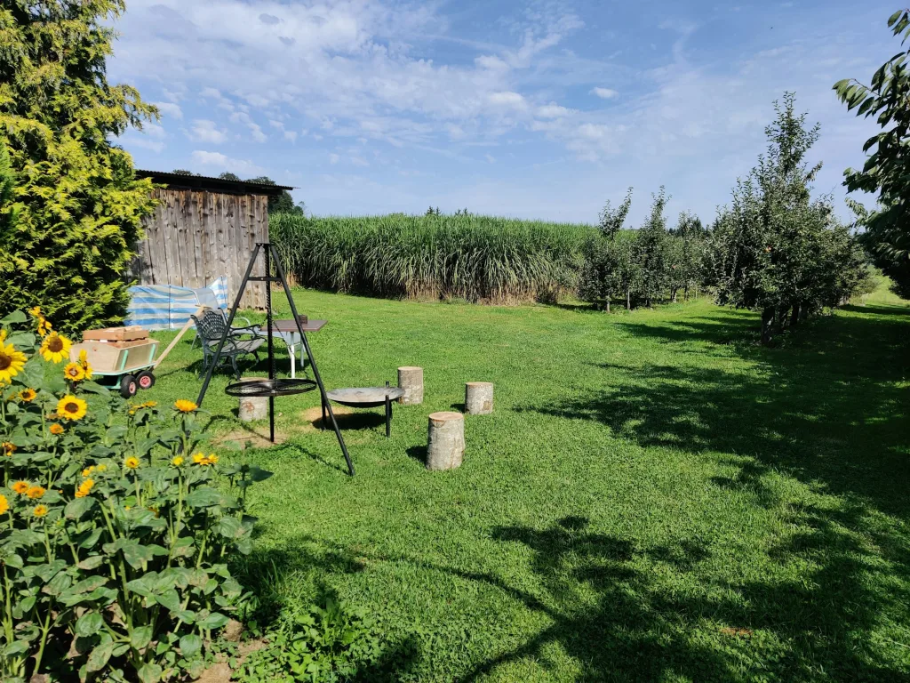 Camp Traubbühl