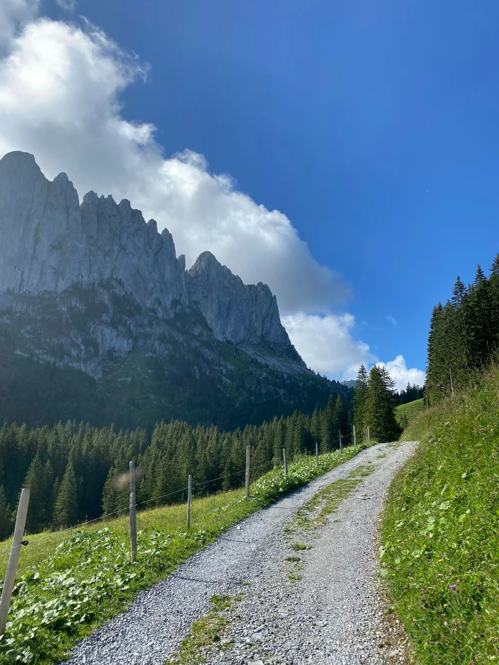 "Gassa Alp" WoMo-Camp im Jauntal