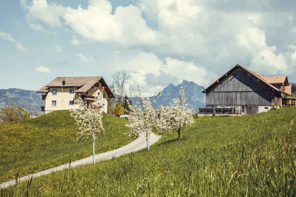 Campen hoch über dem Lauerzersee