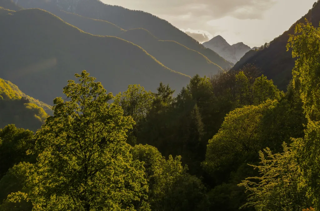 Wild Valley Villa Edera