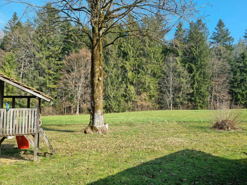 Schachen-Camp in Schüpbach