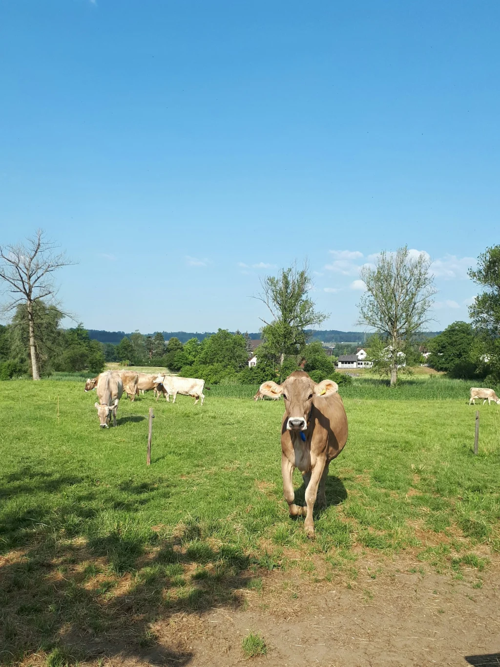 Camp Reussblick