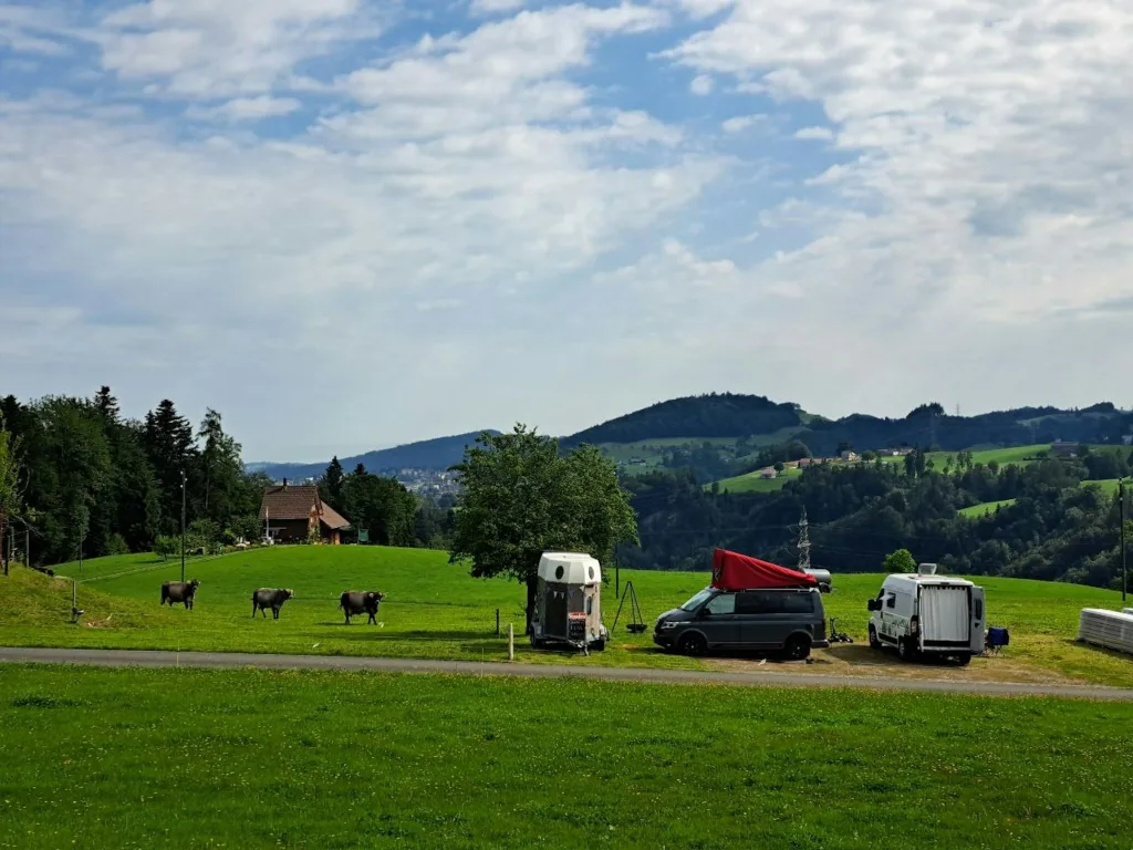 Auszeit auf dem Hinterhof