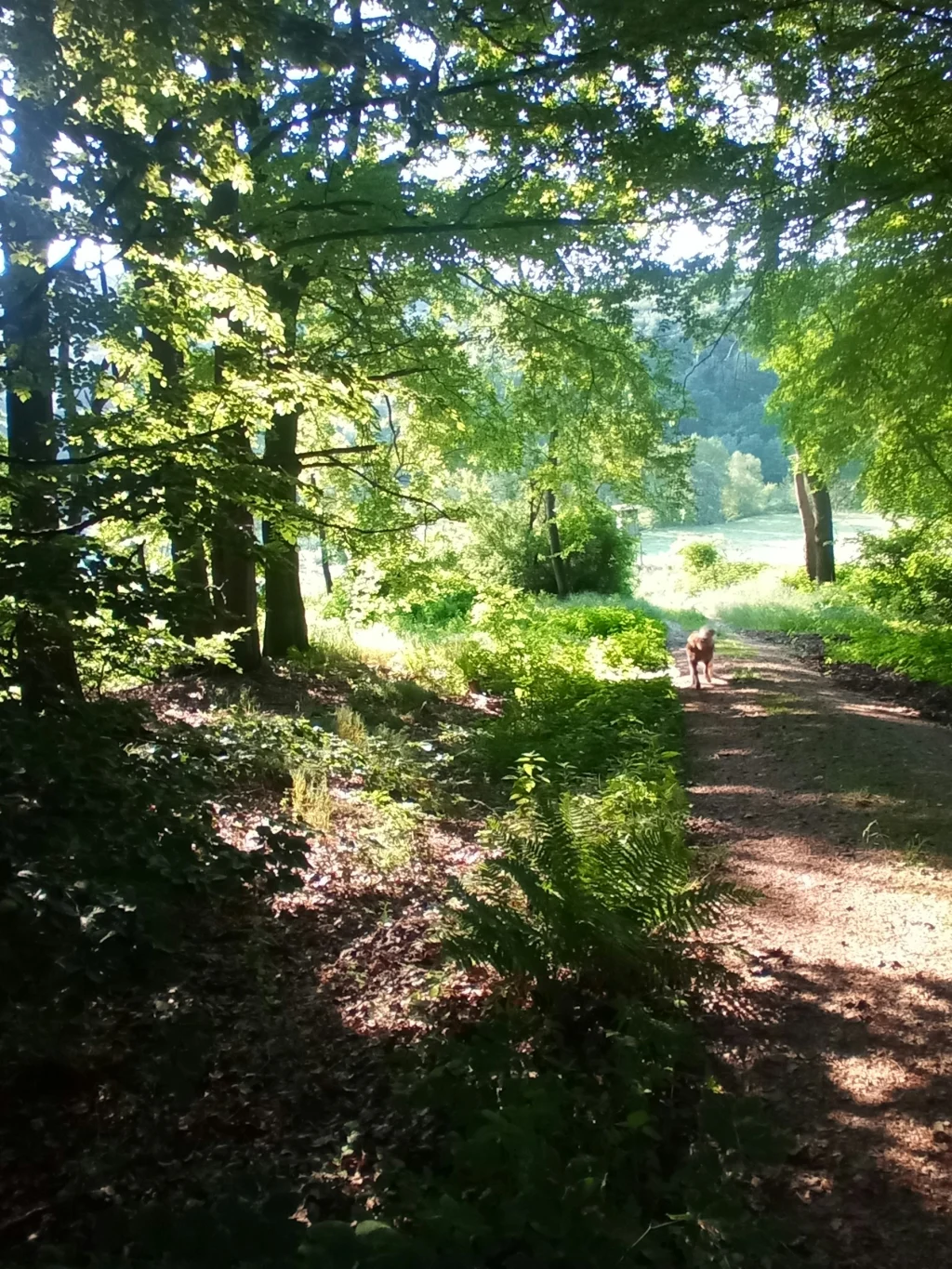 Im Tal der Orpe auf dem Bauernhof