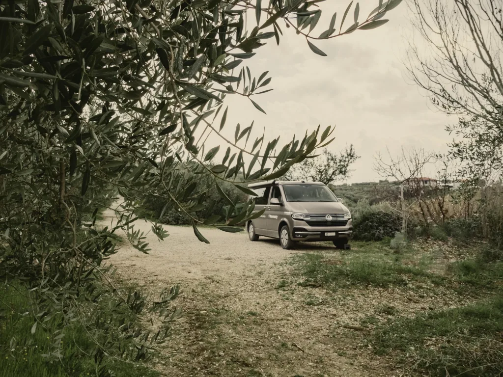 Camp l'uliveto