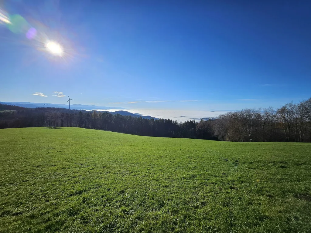 Natur pur -beim Kölble Hof -Windrad