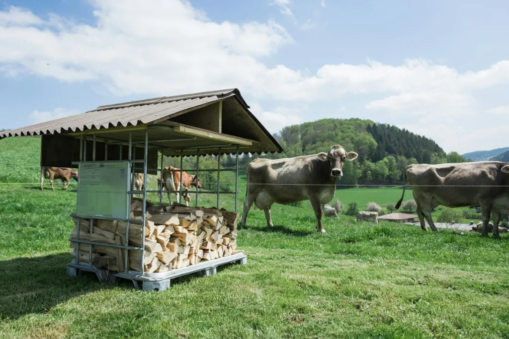 Wässermatten