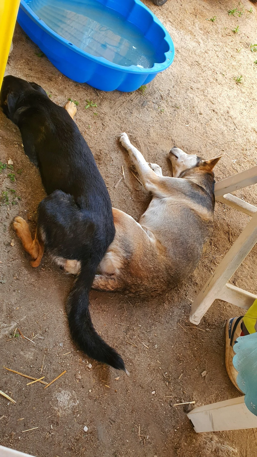 Camping auf dem Bauernhof