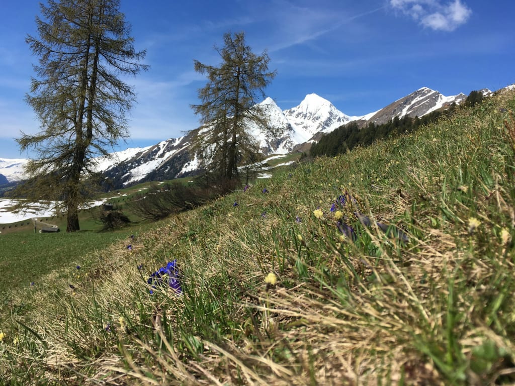 Bergcamp Mittligada