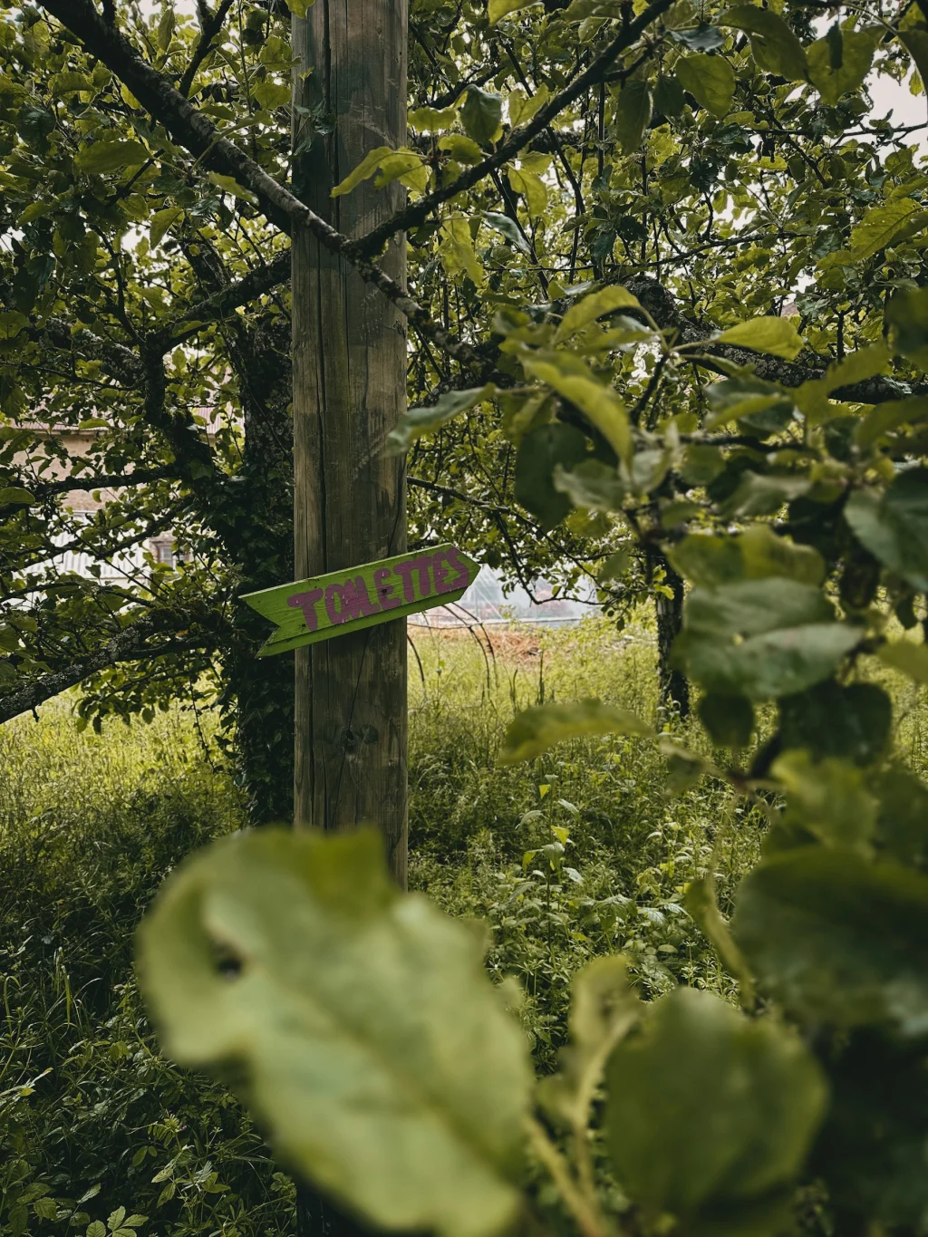 La Fermada micro-ferme permaculture