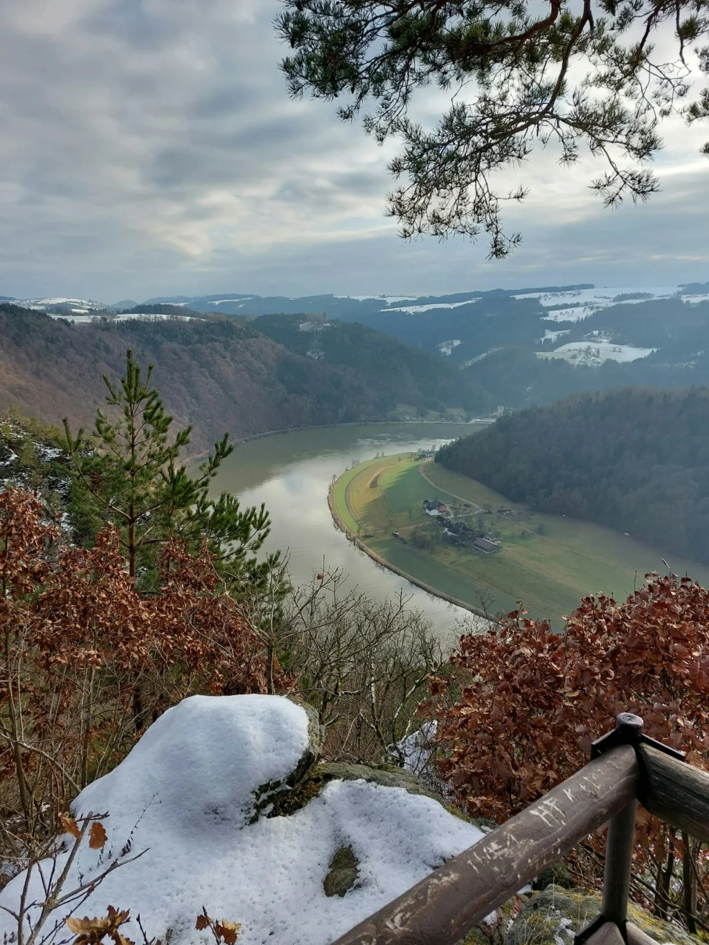Direkt oberhalb des Naturwunder Donauschlinge