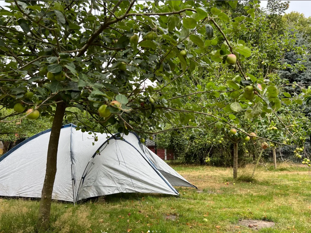 Zelten  in der Obstwiese am Kanal