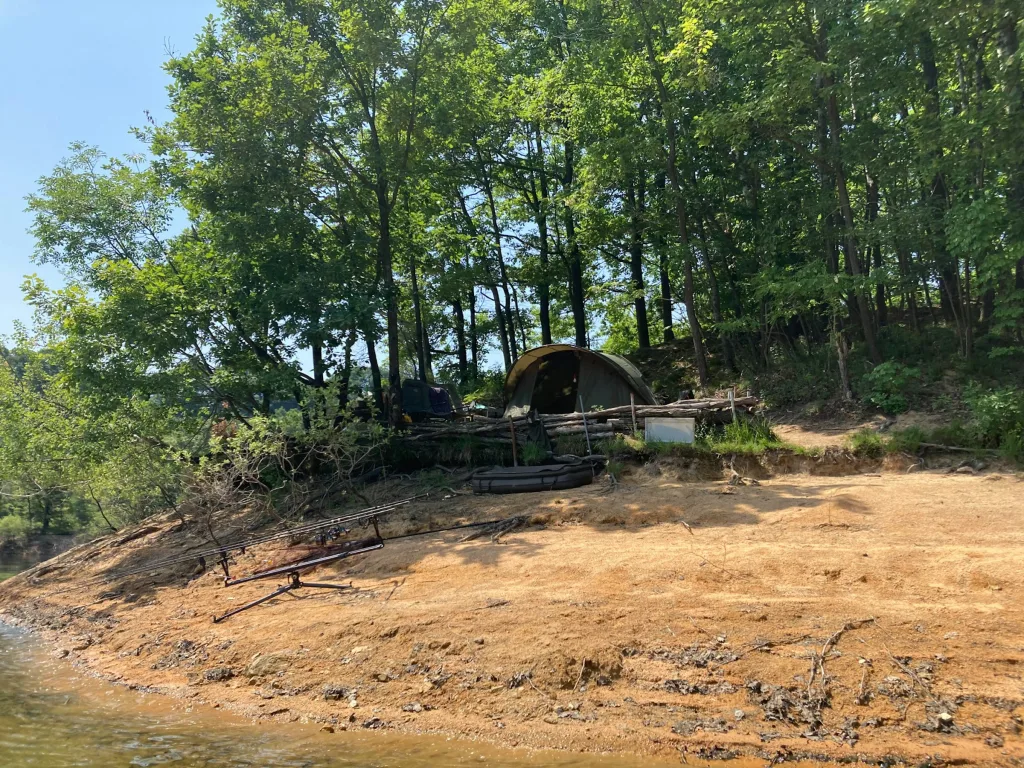 Camp wildly
