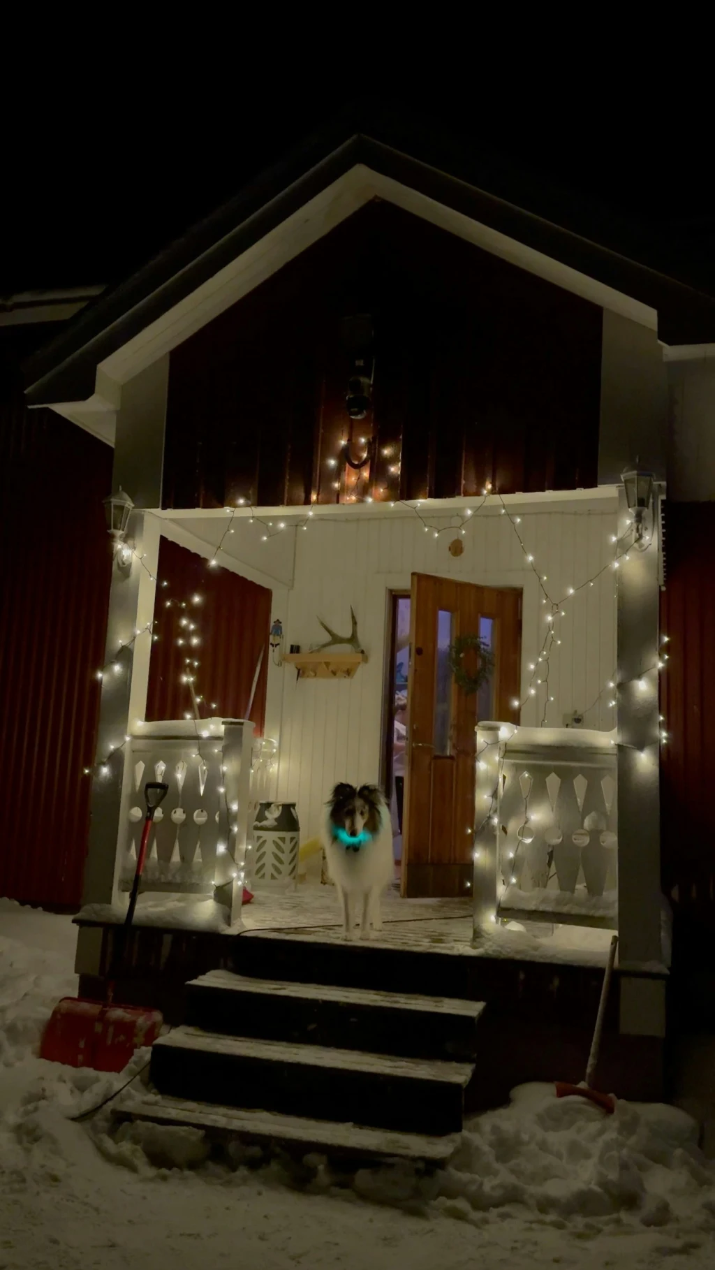 Echtes Lappland - im Wald & am See