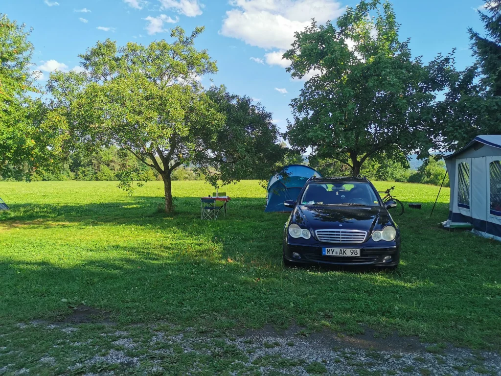 Natur pur im Obstgarten