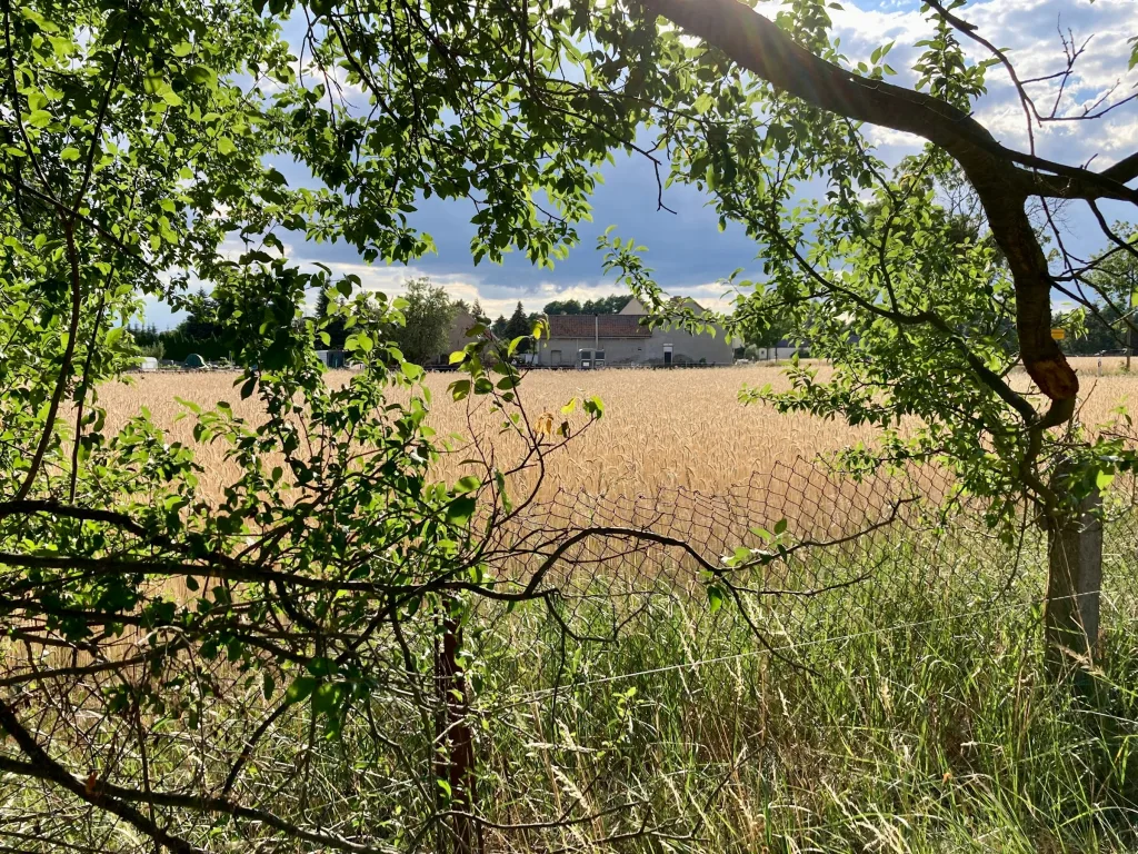 Kleine Westernranch - Naturcamp