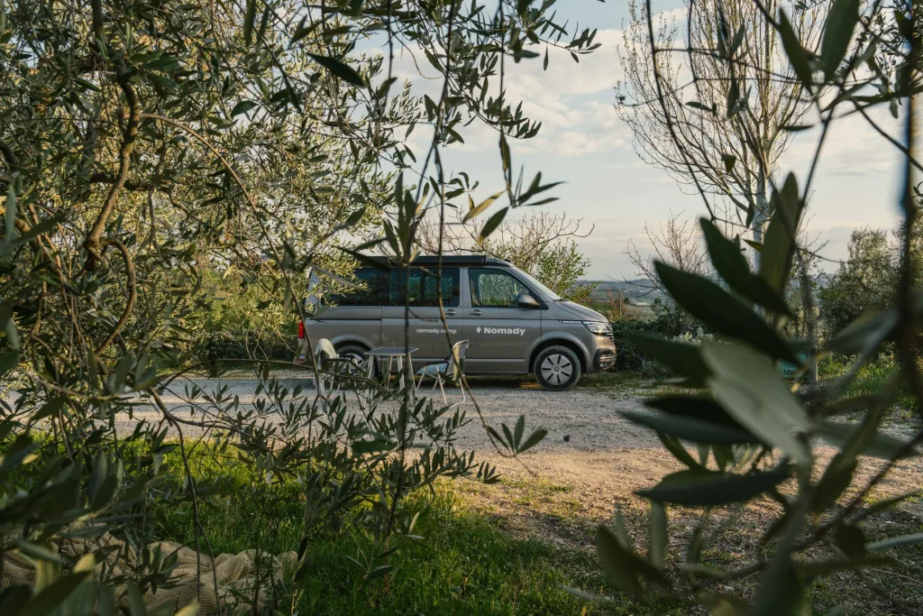 Camp l'uliveto