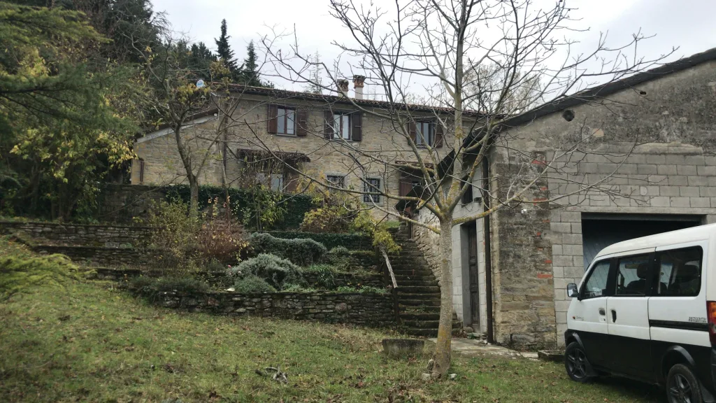 Campeggia nel bosco