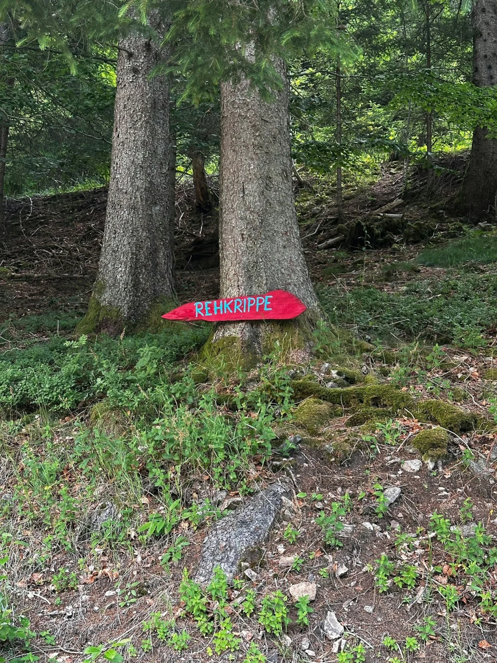 Bei der Rehkrippe im Hübschental