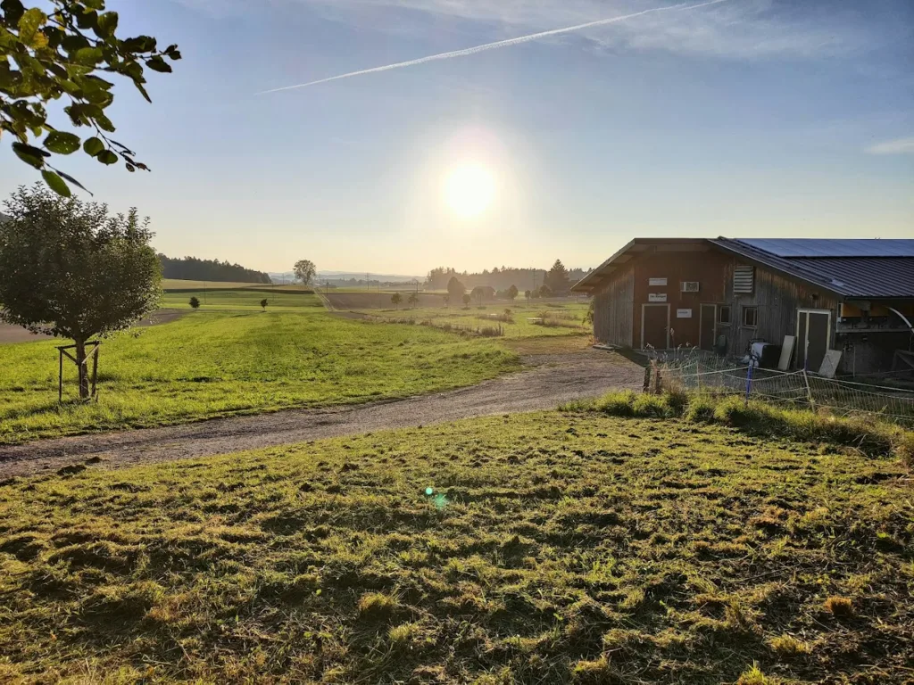Biohof Maiacher - inmitten der Natur