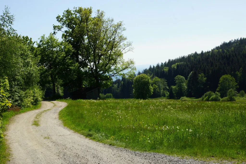 Ferienwohnungen Paukner AktivCard