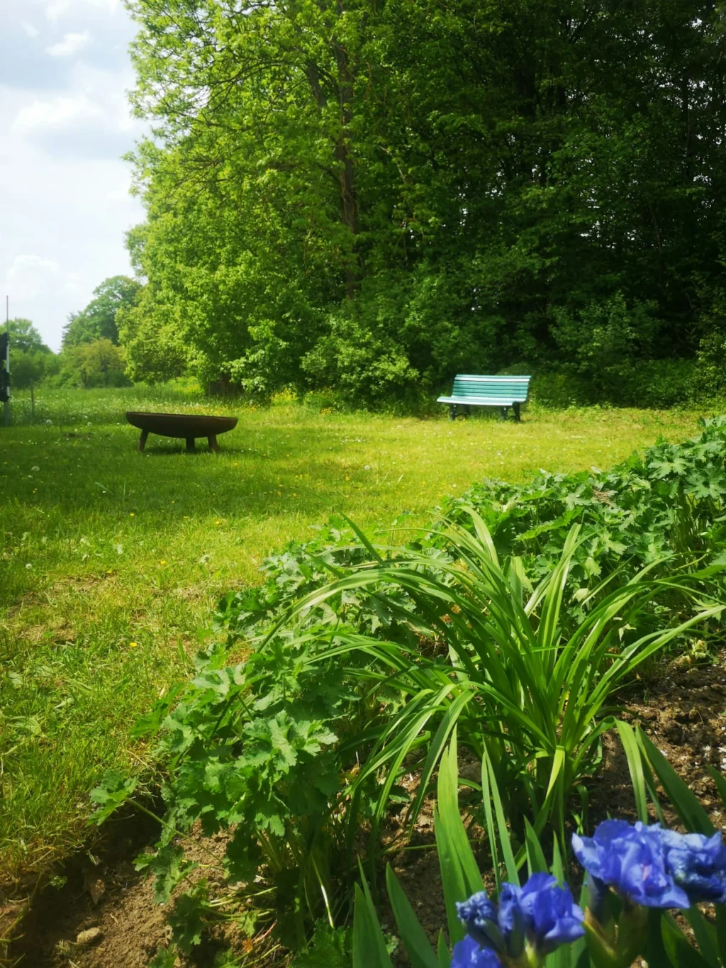 Naturidylle im Klettergebiet