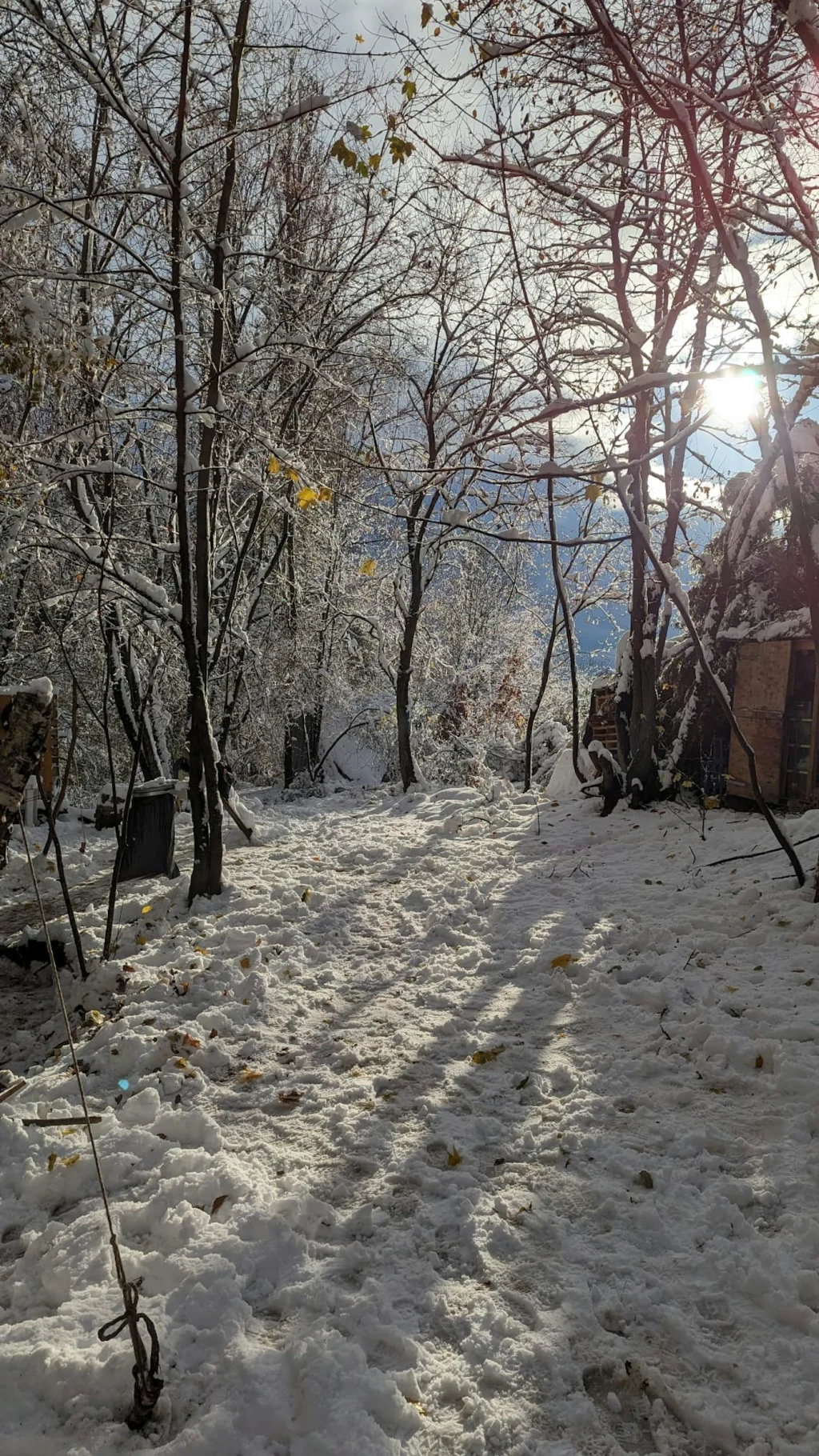 Tiny Haus im Wald für ein Abenteuer
