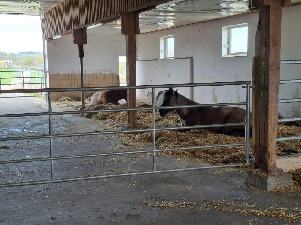 Camping auf der Pferderanch