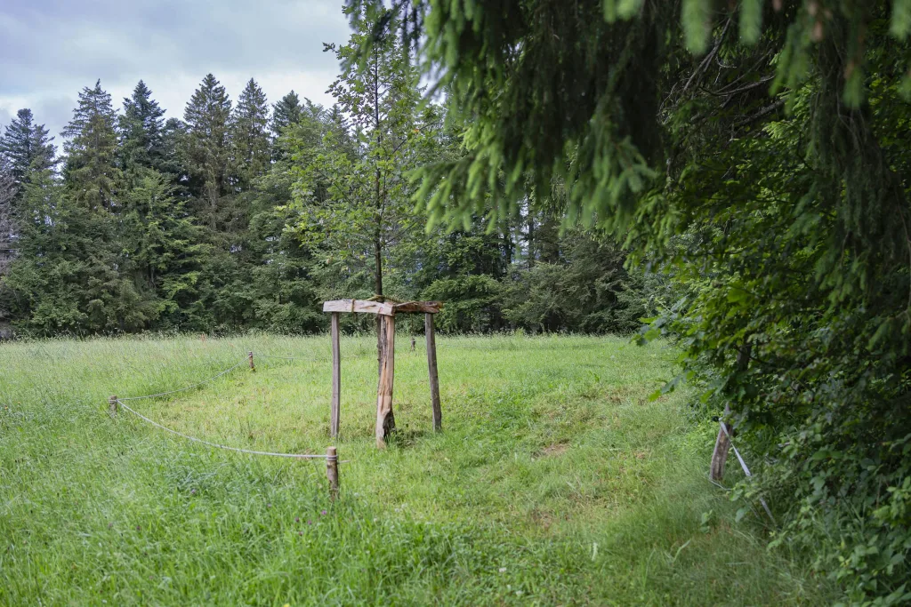 Schweizerhütte - Bergweide