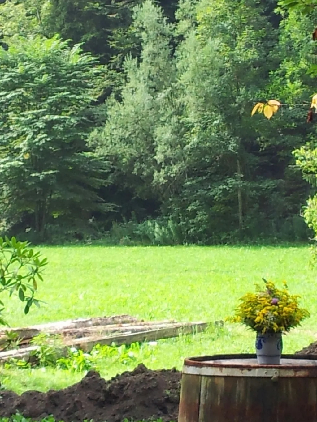Ferienhäuschen am Schwarzwasser