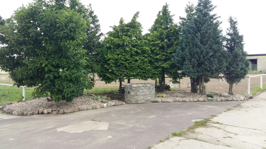 Auszeit auf dem Bauernhof
