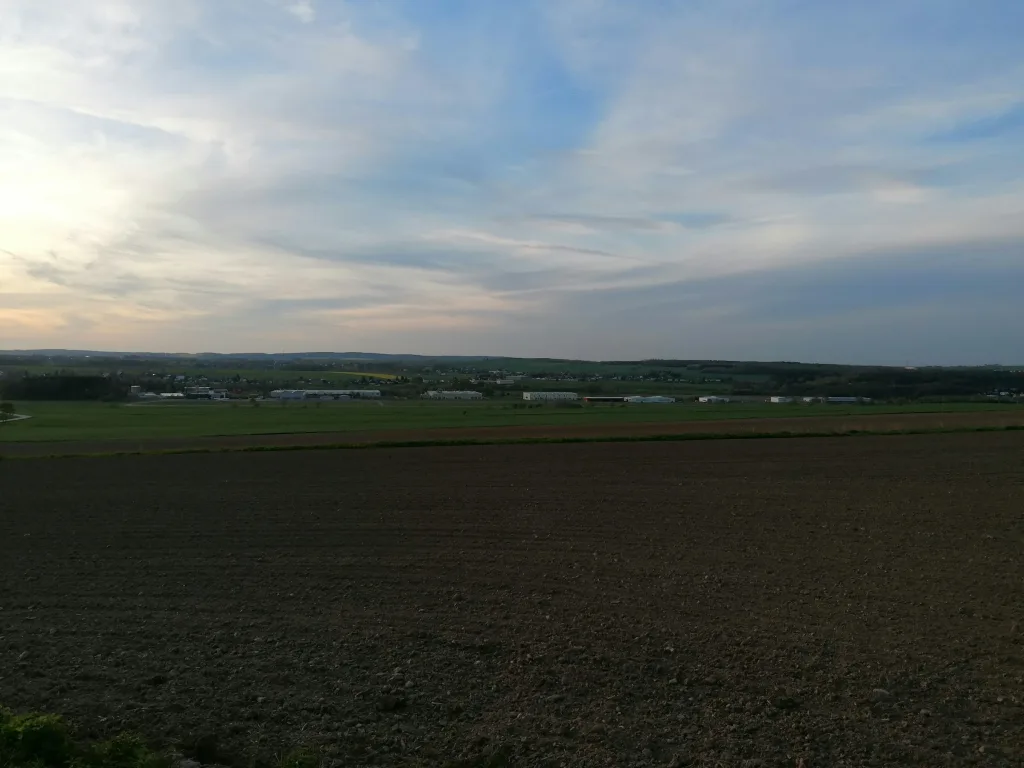 Ruhige Wiese im grünen