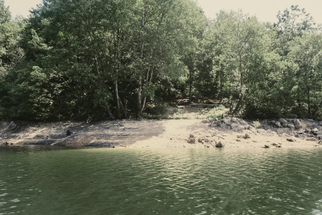Camp wildly