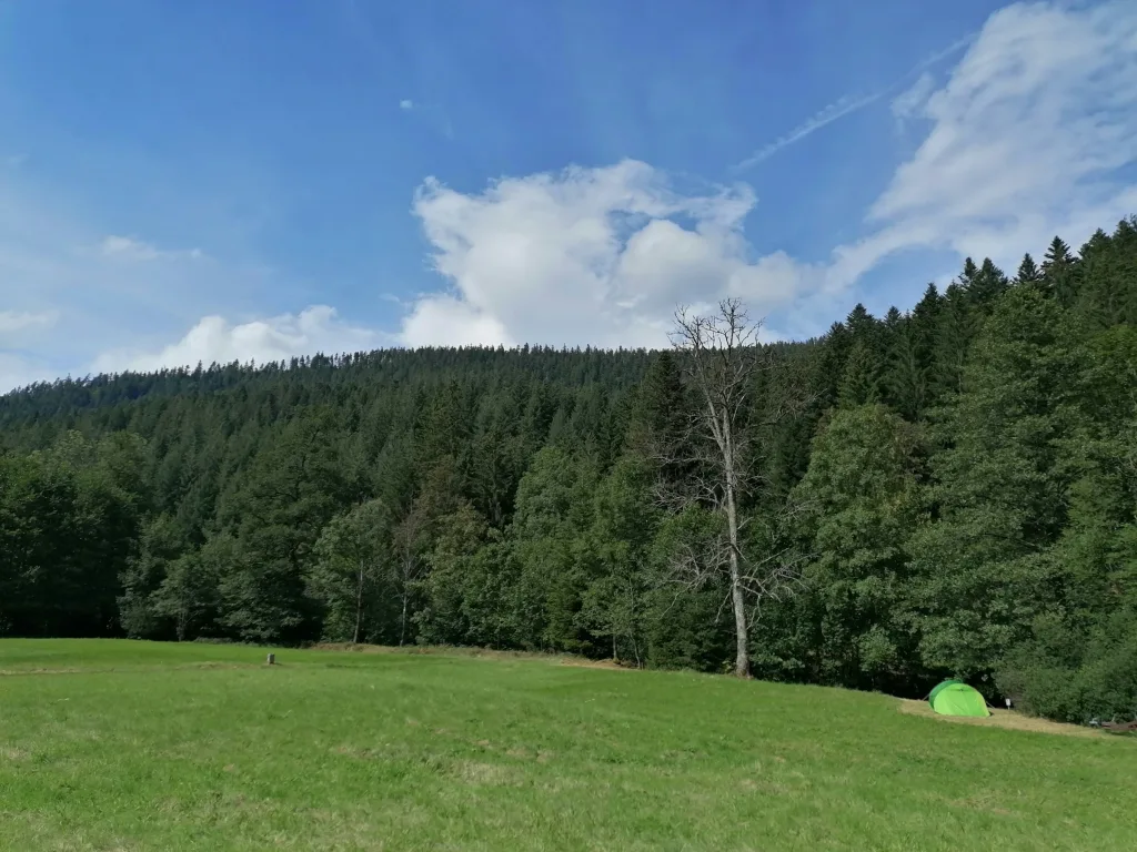 Wiese am Bach beim Nationalpark