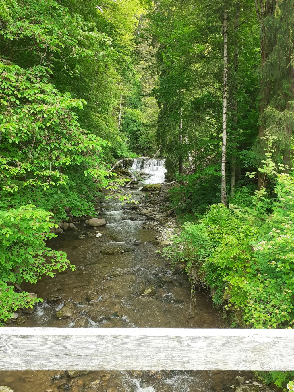 Oase am Laubbach