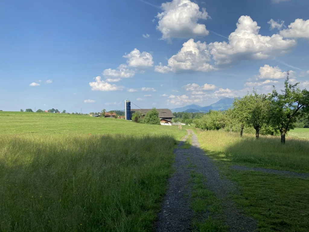 Rütihof - Camp am Waldrand