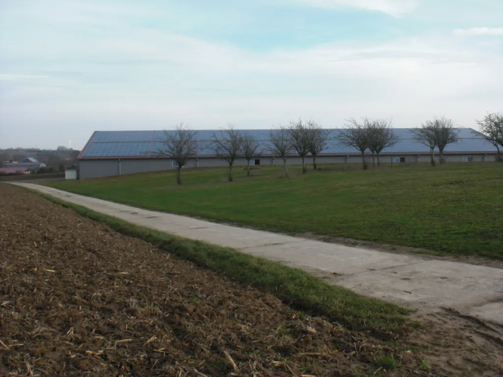 Sellplatz auf der Grünen Wiese