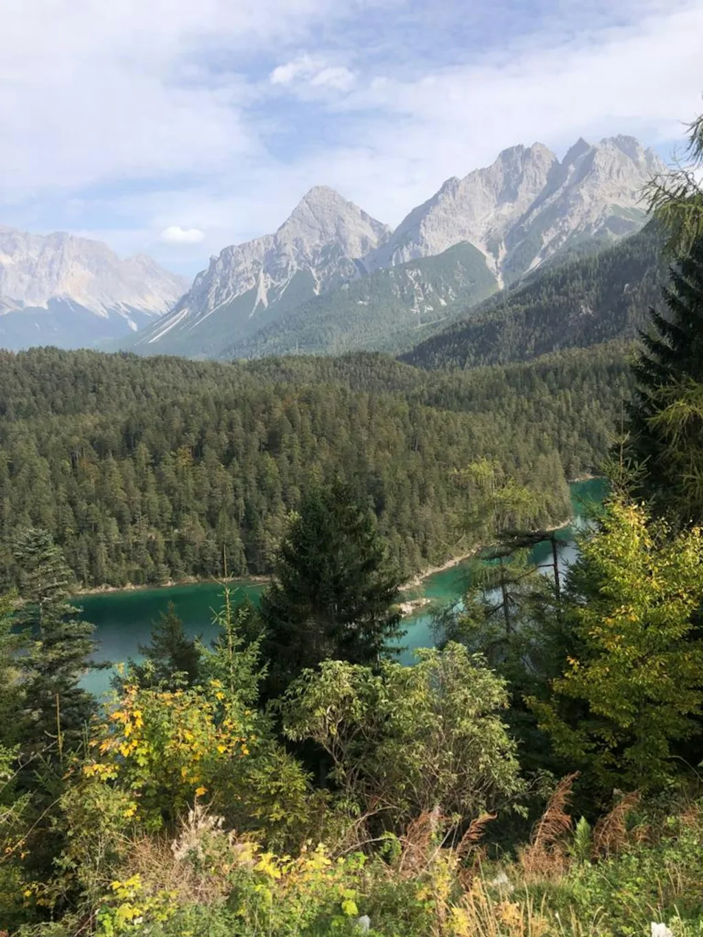 Profilbild von Tanja