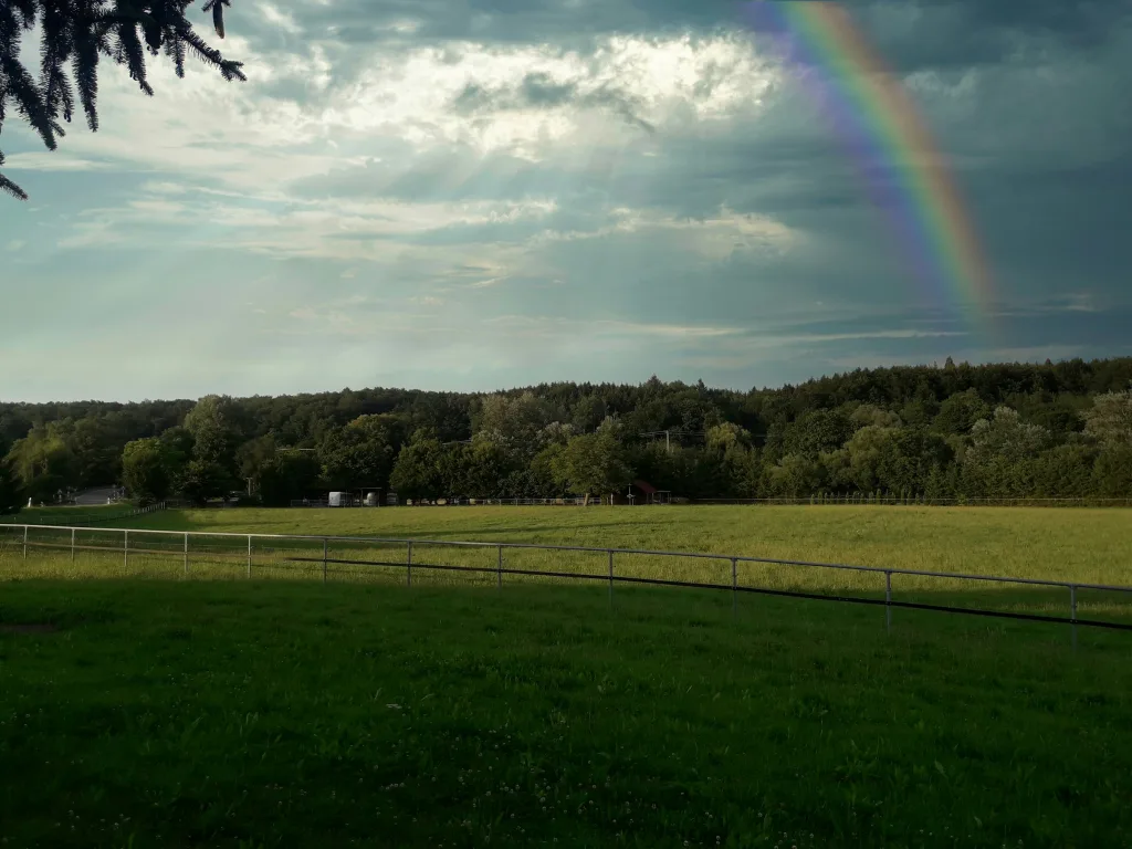 Stellplätze in der Streuobstwiese