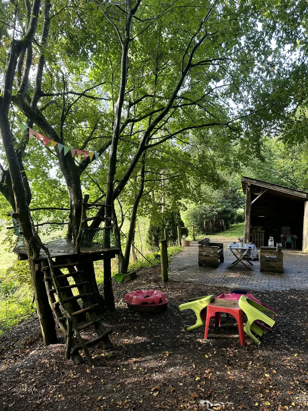 Waldwiese im Hunsrück / Soonwald